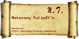 Matecsny Tulipán névjegykártya